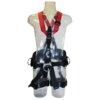 Faldsele P0908 forside