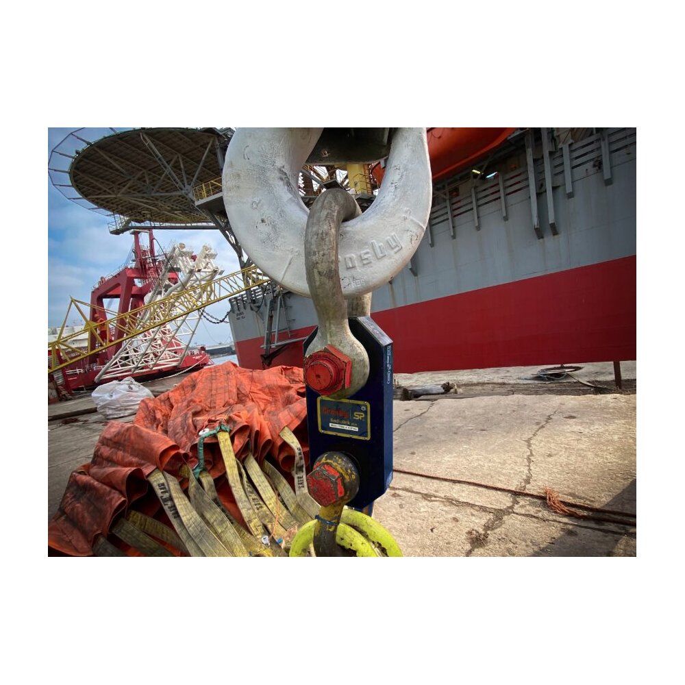 Dynamometer Radiolink Plus