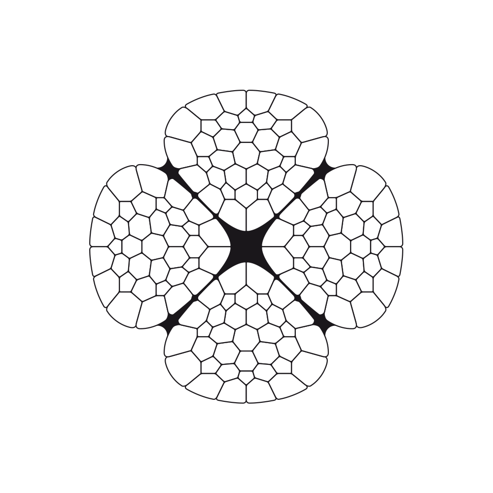 Cross section vero 4