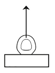 RELP 1