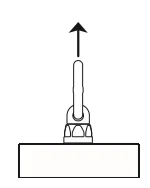 BLP_1