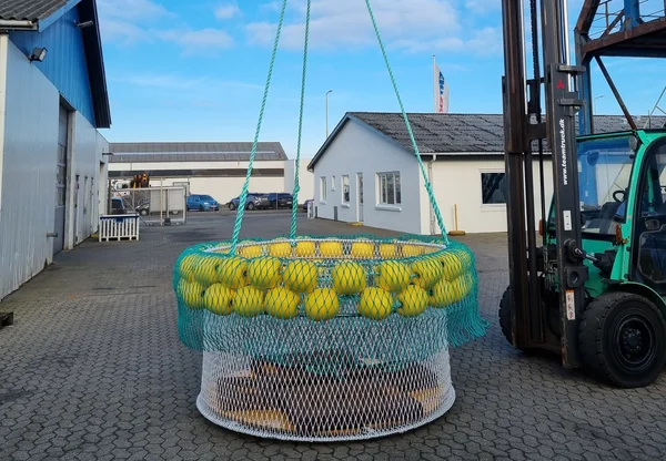 Load test safety basket | © CERTEX Danmark A/S