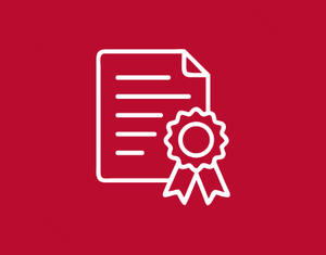 Why choose CERTEX Danmark icon 1