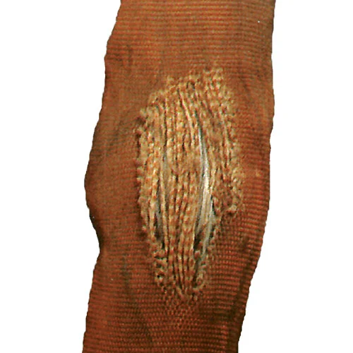 Damaged roundsling
